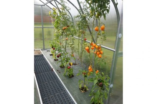 
                                                            Zahradní skleník z polykarbonátu Gardentec Standard
                                                    